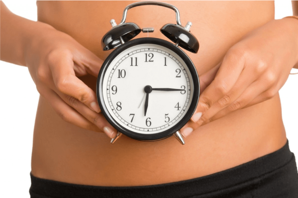 metabolismo